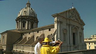 Roma: le api contro lo smog 