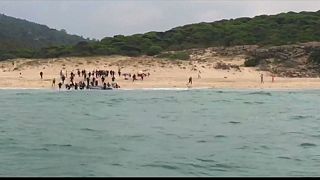 لحظه ورود ۳۰ مهاجر غیرقانونی به سواحل تفریحی اسپانیا