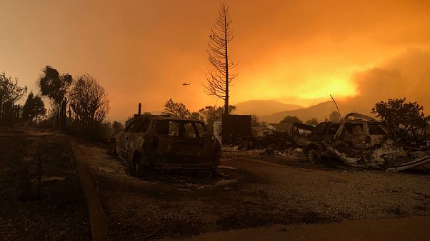 Roghi California: morti e ingenti danni Roghi California: morti e ingenti danni
