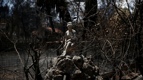 Grecia, settimo giorno di ricerche dopo l'inferno dei roghi Grecia, settimo giorno di ricerche dopo l'inferno dei roghi