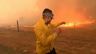California in fiamme: dispersi e sfollati per gli incendi