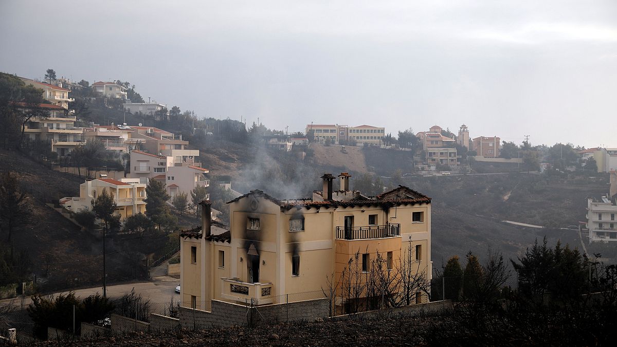 Incendies en Grèce : "il ne reste plus rien"
