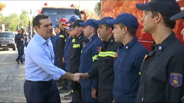 Ципрас на пепелище Ципрас на пепелище