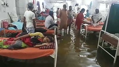 Fish in hospital as rains kill 80 in north India