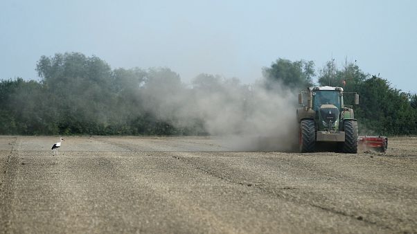 A combine harvester throws up dust in Germany A combine harvester throws up dust in Germany