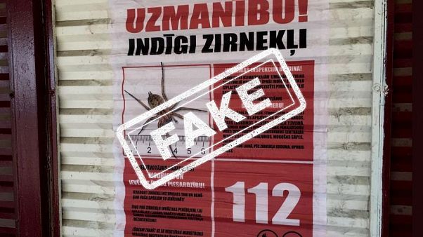 La Lettonia contro il diffondersi della falsa notizia sui ragni mortali | The Cube La Lettonia contro il diffondersi della falsa notizia sui ragni mortali | The Cube