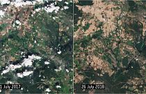 Satellitenbilder zeigen Dürre rund um Berlin im Vergleich 2017/2018