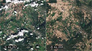 Satellitenbilder zeigen Dürre rund um Berlin im Vergleich 2017/2018