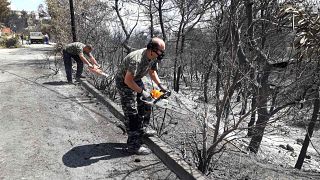 Experts warn of more risks for fire-stricken areas of Greece