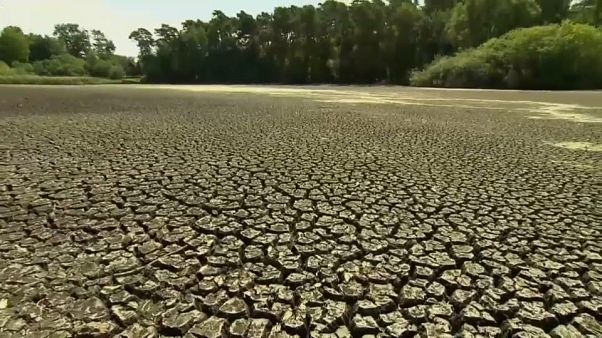 Heatwave deaths to soar dramatically, global study finds Heatwave deaths to soar dramatically, global study finds