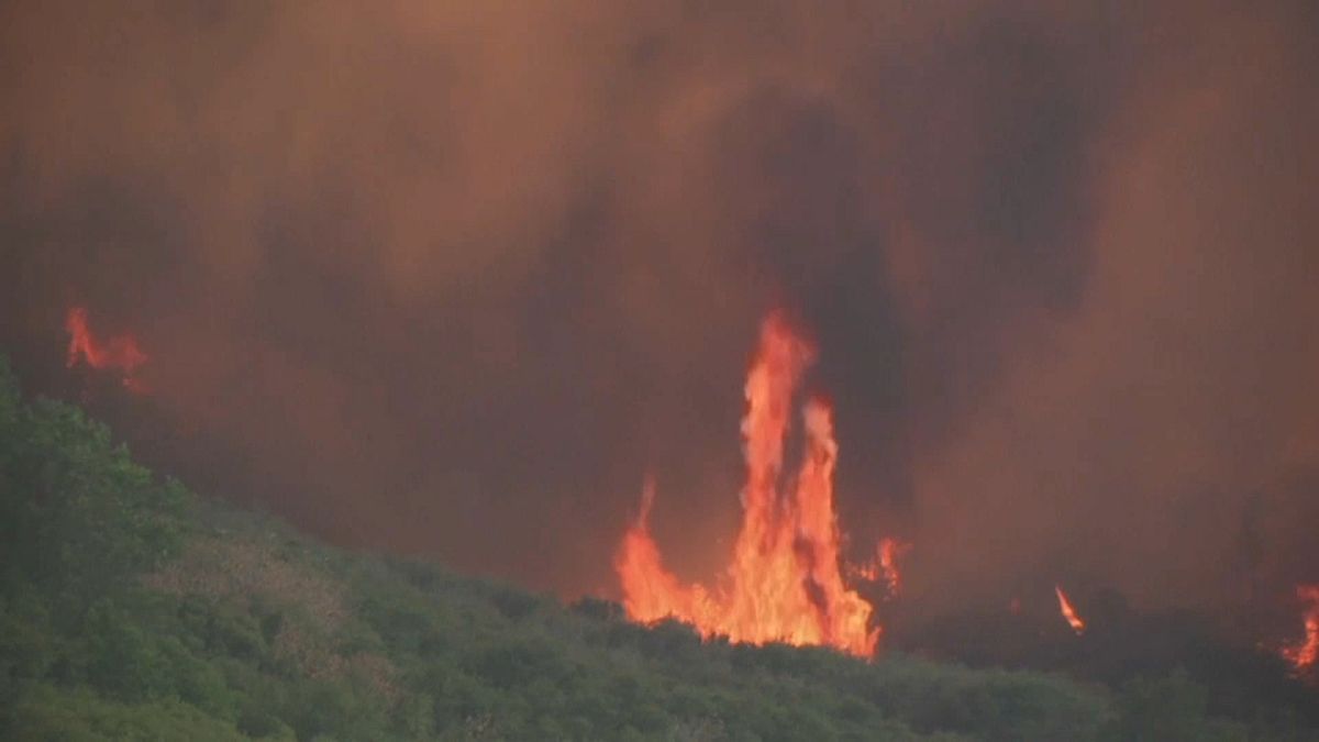 California lucha contra los cerca de 15 incendios que asolan el Estado
