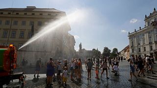El cambio climático traerá más muertes por olas de calor