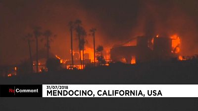 Калифорния во власти пожаров
