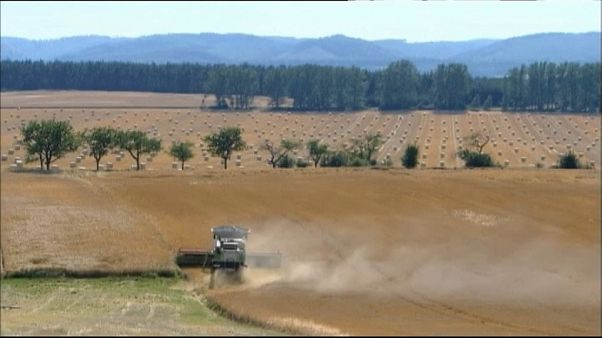 Los recursos naturales de la Tierra se han agotado Los recursos naturales de la Tierra se han agotado