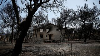 Στους 87 νεκρούς ο απολογισμός της πυρκαγιάς - Αγνοείται ένας άνθρωπος