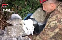 Ndrangheta, 45 arresti fra il sud e il nord dello Stivale. Il ruolo delle donne tra gli arrestati