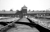 3,000 Roma people were killed in Auschwitz on August 2, 1944