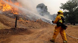 تراجع حدة النيران في شمال كاليفورنيا