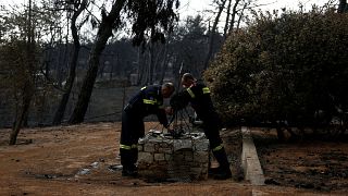 Family of couple who lost their lives in Greek wildfires sue authorities