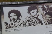 L'Olocausto dimenticato di Rom e Sinti