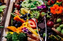 Leading the way to a cleaner future for food