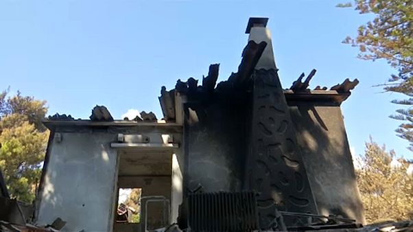 5000 Euro Entschädigung für Waldbrand-Opfer 5000 Euro Entschädigung für Waldbrand-Opfer
