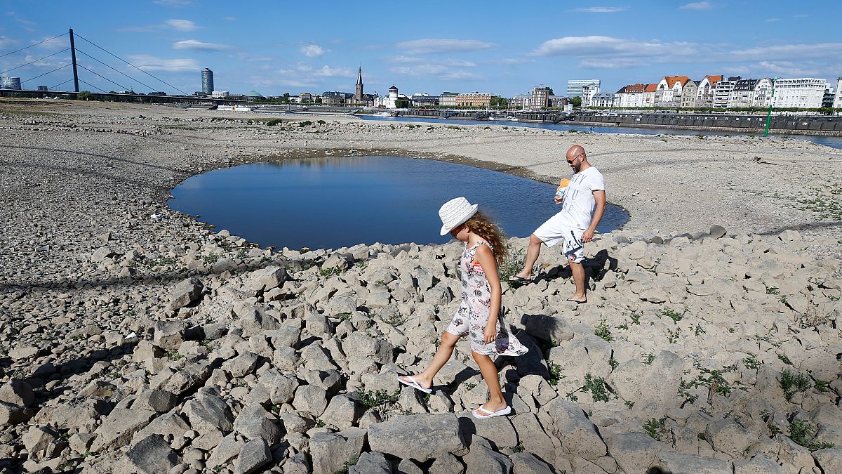 The partially dried riverbed of Rhine in Dusseldorf, Germany on July 31.