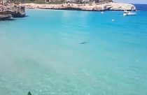 Watch: Majorca beach evacuated after shark spotted near shore