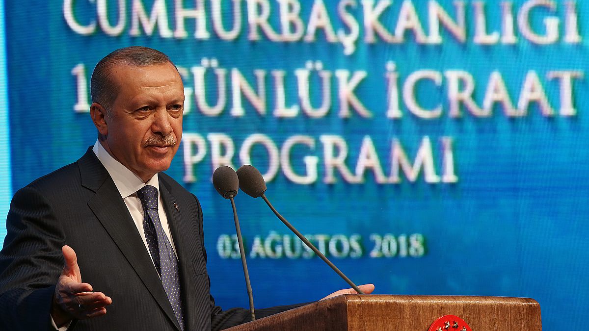 Erdoğan 100 günlük eylem planını açıkladı