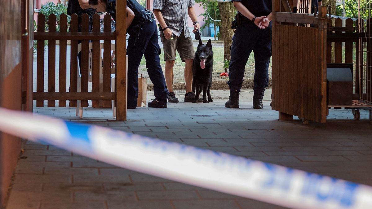 Mindhárom svéd rendőr tüzelt a Down-szindrómás férfira
