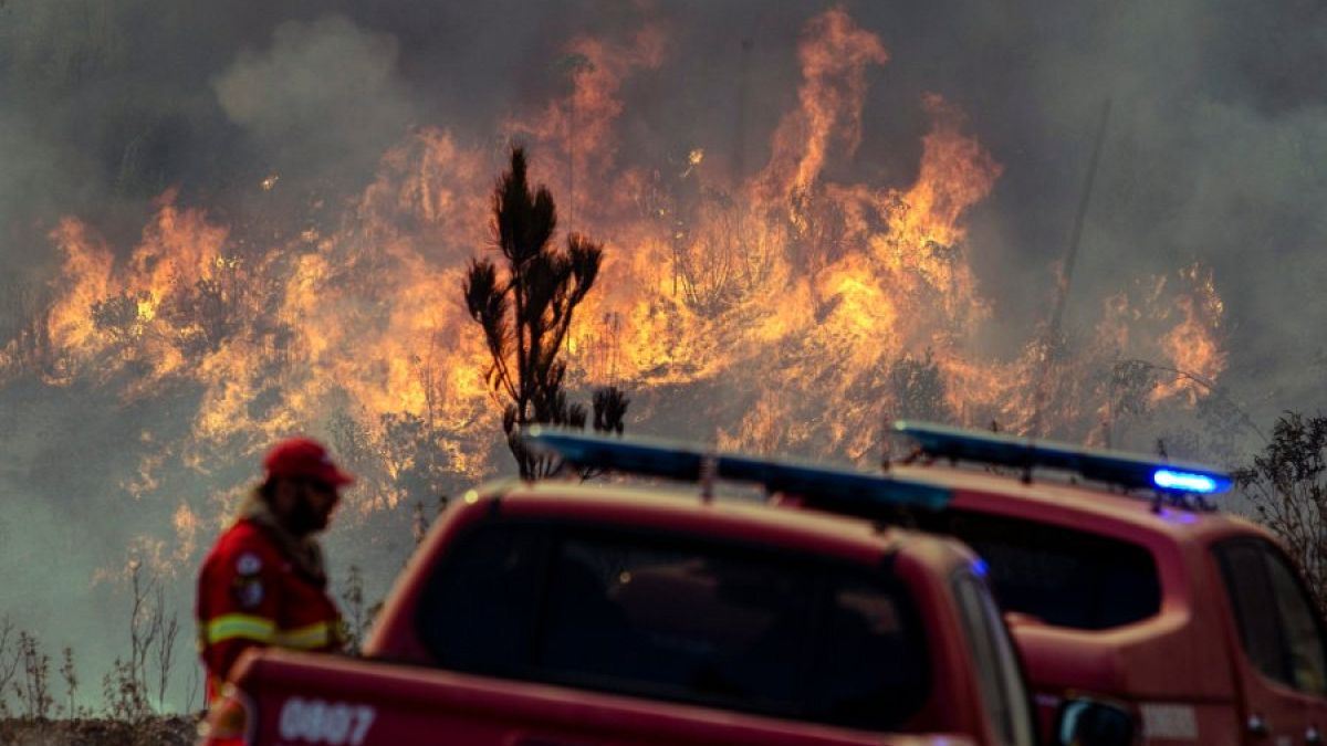 Waldbrände wüten in Portugal