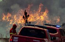 Incêndio no Algarve queima mais de mil hectares de mato e floresta