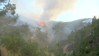 Portuguese firefighters battle to contain blaze and heatwave goes on