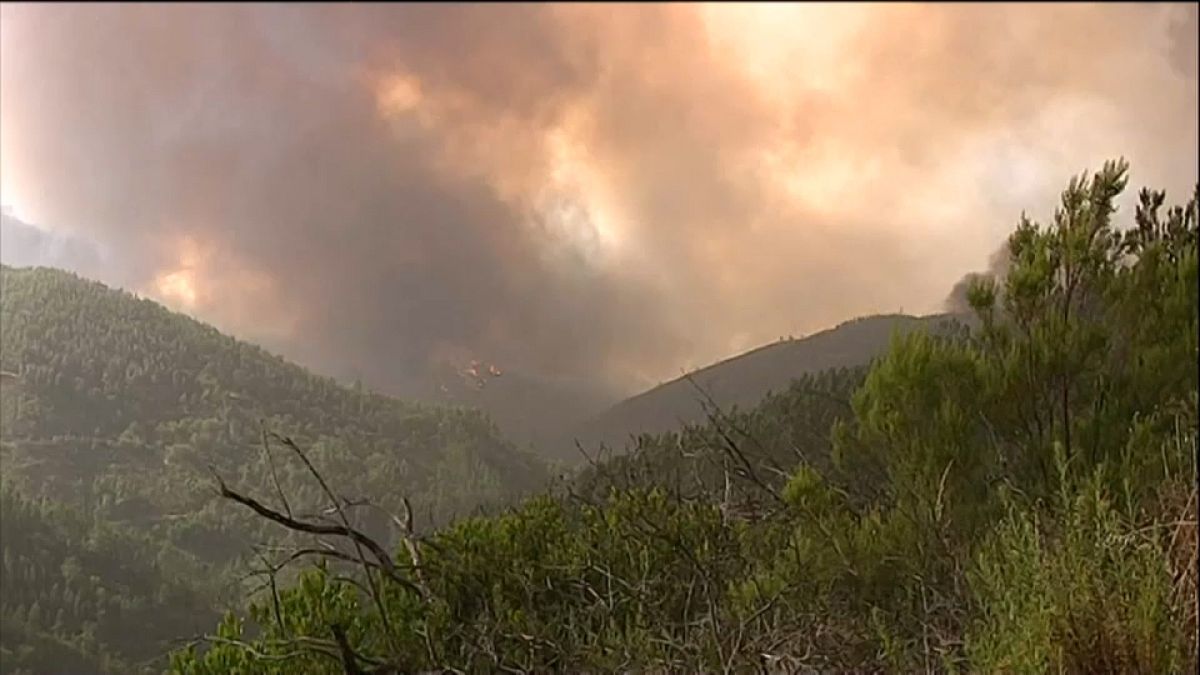Incêndio na Serra de Monchique continua incontrolável
