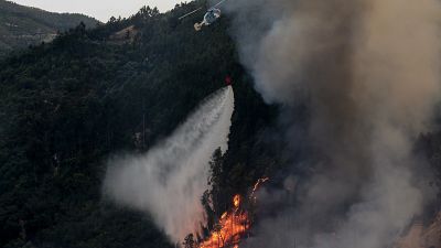 Helicóptero combate incêndio florestal em Monchique