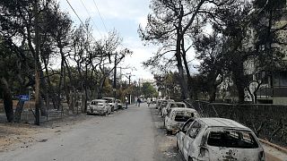 Yunanistan'daki yangının ardından istifalar sürüyor