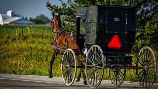 ABD'de Amişlerin kullandığı bir at arabası