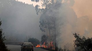 İspanya-Portekiz sınırındaki yangın söndürülemiyor