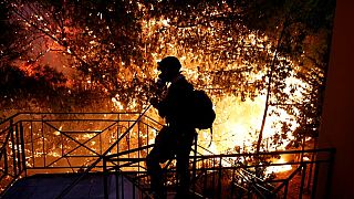 متطوع يرش المياه على حريق غابات في بلدة رافينا قرب أثينا في اليونان ي