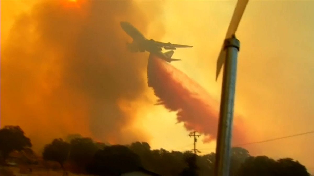 Лесные пожары: в бой с огнём вступает Boeing 