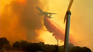 Лесные пожары: в бой с огнём вступает Boeing 
