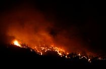 World heading toward an uninhabitable 'Hothouse' new study warns