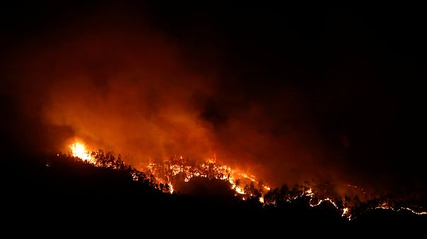 World heading toward an uninhabitable 'Hothouse' new study warns World heading toward an uninhabitable 'Hothouse' new study warns