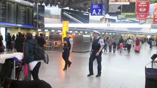Caos en el aeropuerto de Fráncfort por una falsa alarma Caos en el aeropuerto de Fráncfort por una falsa alarma