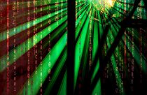 Çocuk pornosu ve uyuşturucu ticareti ile gündem olan Deepweb ve Darkweb nedir?