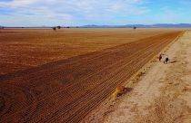 Ausgetrocknetes Feld in New South Wales