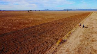 Australian farm output hit by drought