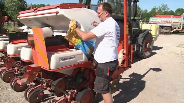 Glyphosatprozess in Kalifornien: Warten auf das Urteil Glyphosatprozess in Kalifornien: Warten auf das Urteil