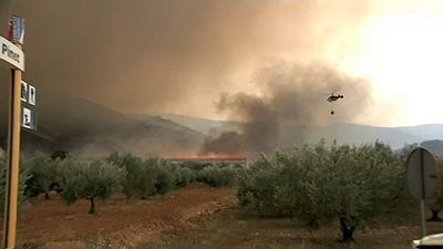 Firefighers struggle to contain wildfires in Spain and Portugal