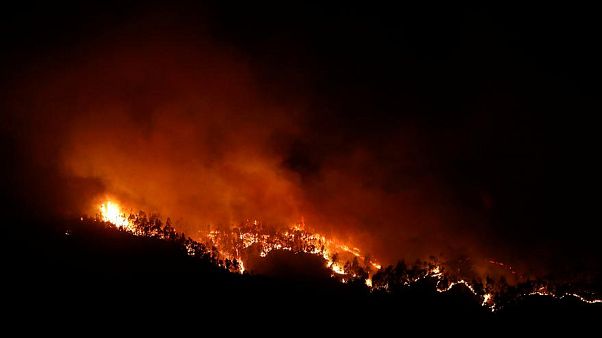 Waldbrände in Kalifornien - ist die Erde bald unbewohnbar? Waldbrände in Kalifornien - ist die Erde bald unbewohnbar?
